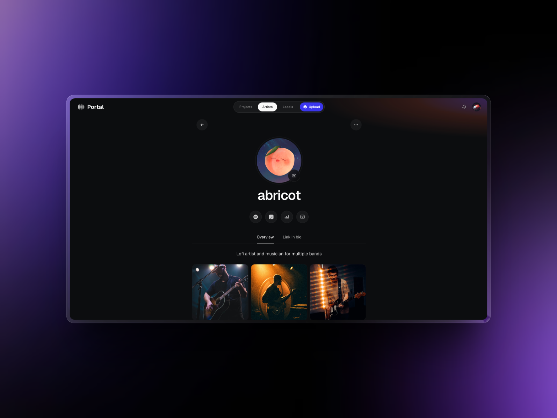Manage your artists — DSP links and electronic press kit